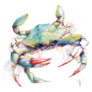 Crabe bleu